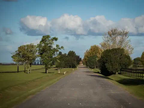 Terreno en Venta en Lobos, USD 48.000