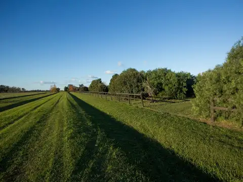 LOTE 14279 M2. SANTA MARIA DE LOBOS - CLUB DE CAMPO - SEGURIDAD 24 HS. - LOBOS