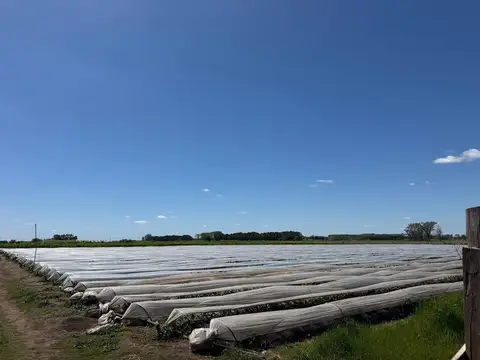 Terreno Campo  en Venta en Capilla del Señor, Exaltación de la Cruz, G.B.A. Zona Norte