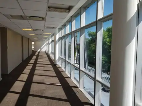 Oficina en Alquiler A Estrenar