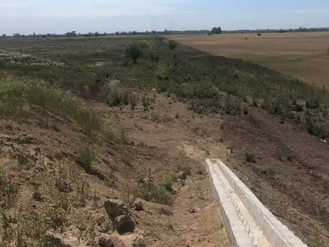 Retasado!Venta Campo 52 Hectareas San Vicente