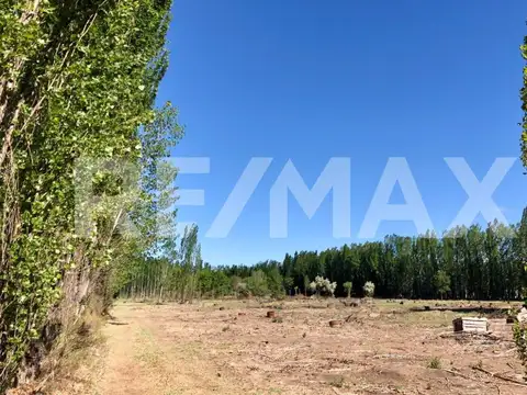 Terreno en Venta en Cipolletti, USD 60.000