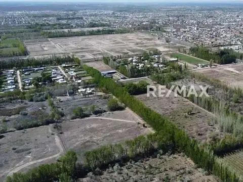 Terreno en Venta en Cipolletti, USD 60.000