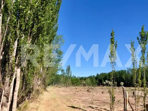Terreno en Venta de 600,0 m2