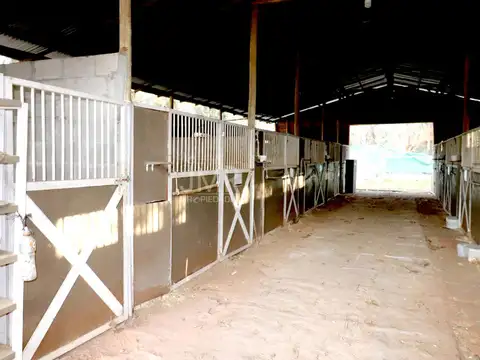Chacra en Fátima | 5.000 m² aprox | casa   espacios productivos