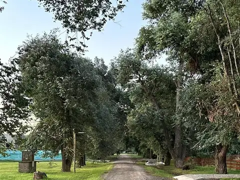 Lote en venta en las casuarinas del Pilar 100