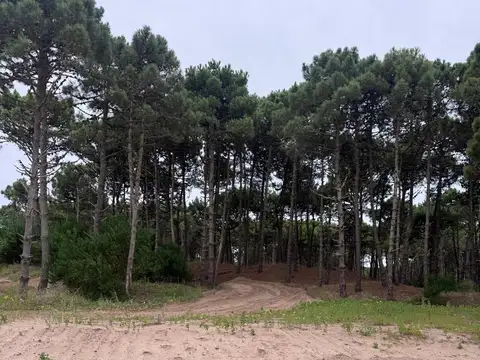 Terreno en Venta de 1050,0 m2