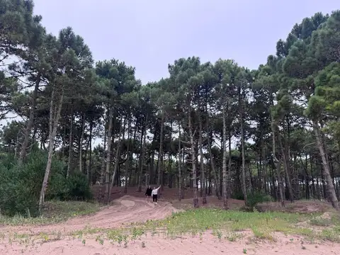 Terreno en Venta en Pinamar Norte, USD 130.000
