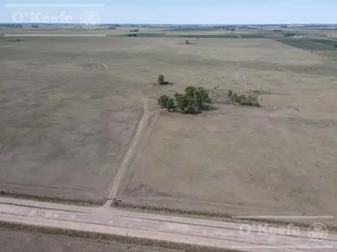 Campo Mixto de 141 Has en venta - Excelente acceso desde Ruta N° 29 - Ranchos