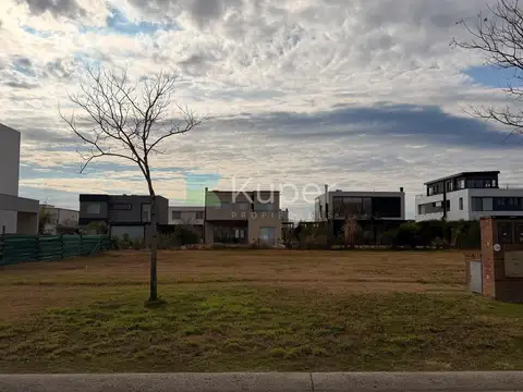 Puertos, Araucarias