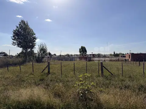 GUIRALDES 100