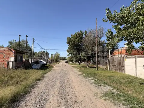 GUIRALDES 100