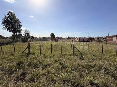 GUIRALDES 100