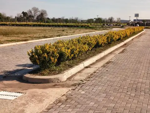 Terreno en Venta de 343,0 m2