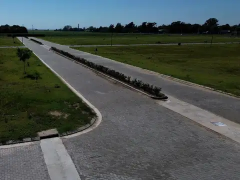 José Ingenieros 4100