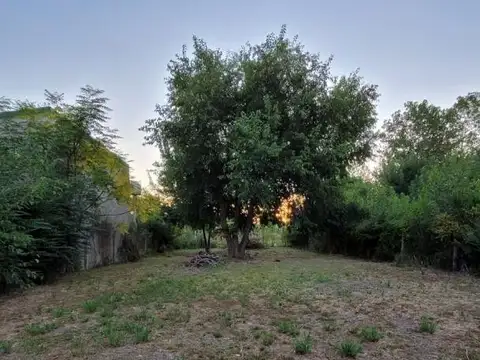 Lote de Terreno en Los Pioneros
