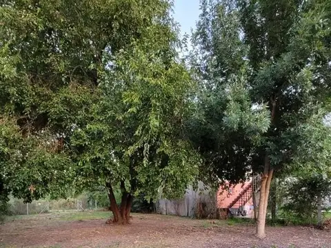 Terreno en Venta en Los Pioneros, USD 30.000