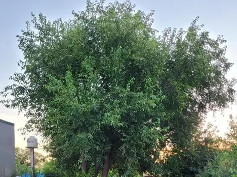 Terreno en Venta de 700,0 m2