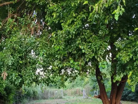 Terreno en Venta de 700,0 m2