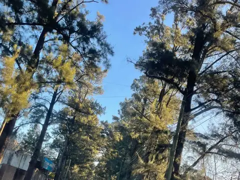 Sebastián Elcano 100