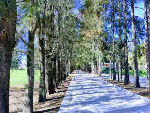 Terreno en Venta 30  mts Fondo
