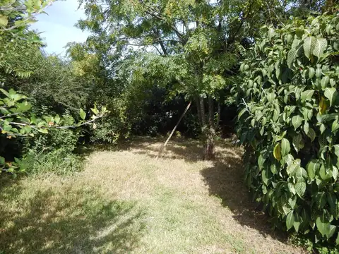 Paso de los Andes al 900