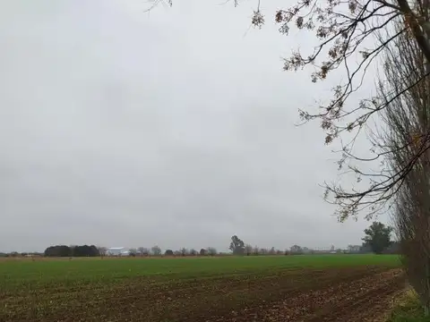 19 HA, CERCA DEL PUEBLO!