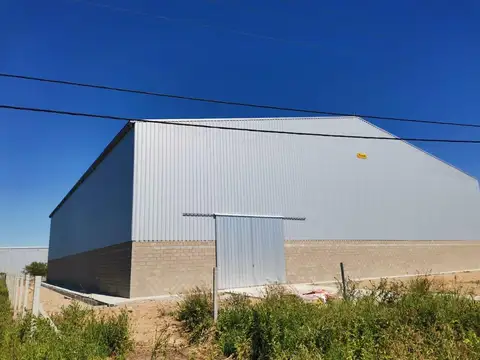 Galpon en Alquiler 45  mts Fondo