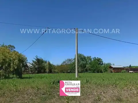 Colon