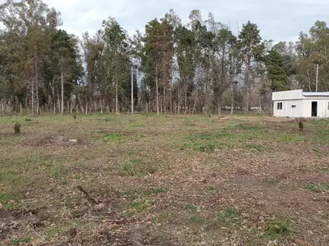 Federico Leloir  al 300