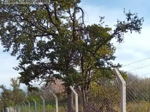 Terreno en Venta 17  mts Fondo