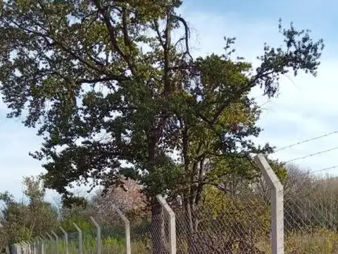 Terreno en Venta 17  mts Fondo