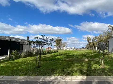 Lote central Santa Sofia