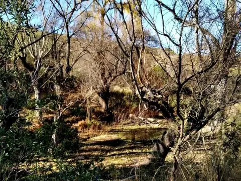 EXCELENTE FRACCION EN MINA CLAVERO