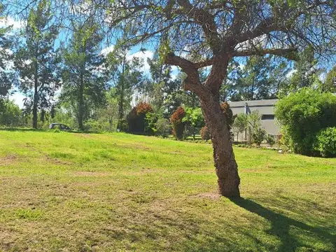 Terreno en Venta de 743,0 m2
