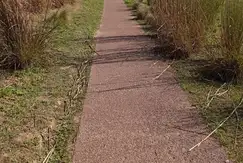 Puertos - Araucarias - Foto 7