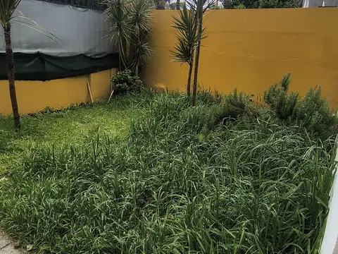 Depto Tipo Casa en Alquiler de 2 ambientes