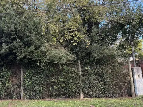 Terreno en Venta de 538,0 m2