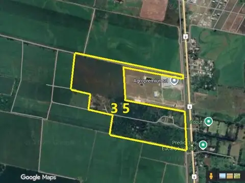 Ruta 9 km 1281, San Andrés, Dpto. Cruz Alta, Tucumán