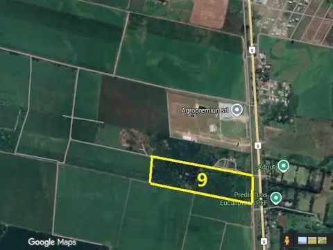 Terreno industrial en Ruta 9 km 1281, San Andrés, Dpto. Cruz Alta, Tucumán