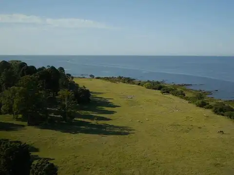 Camino Sanguinetti al 5500 CH 15