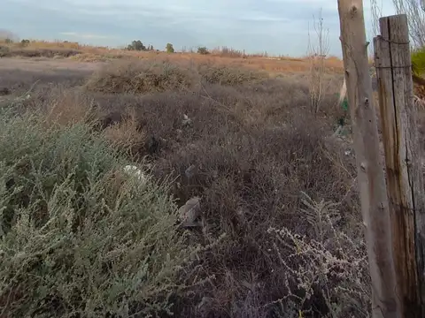 TERRENO DE 10000 m – LOS CORRALITOS