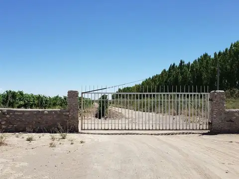 ghilardi, san 100