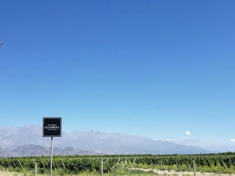 ghilardi, san 100
