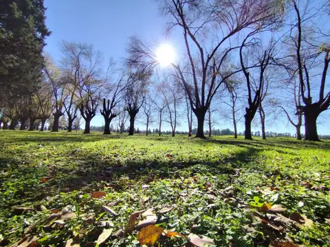 Loteo en Venta en Spegazzini, Ezeiza con Finaciacion