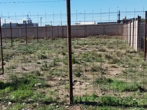 Terreno en Venta en Centenario, USD 16.000
