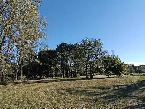 VENTA-Lote premium de 1.700 m² en B° C. Amarylis | Seguridad, Verde y Amenities