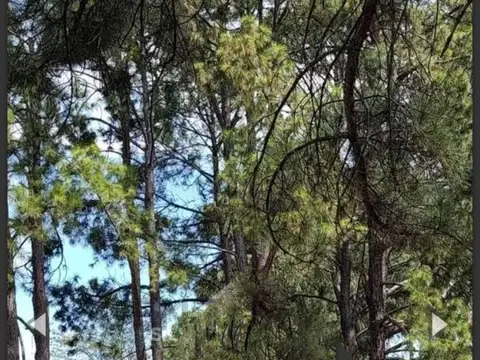Terreno en Venta 53  mts Fondo