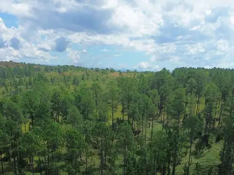 Terreno en Venta en Yacanto Calamuchita, USD 25.000