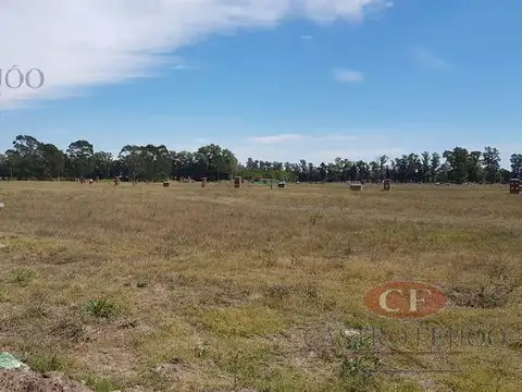 Santo Tomas - Lote 166